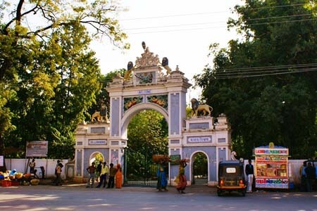 Udaipur sightseeing taxi