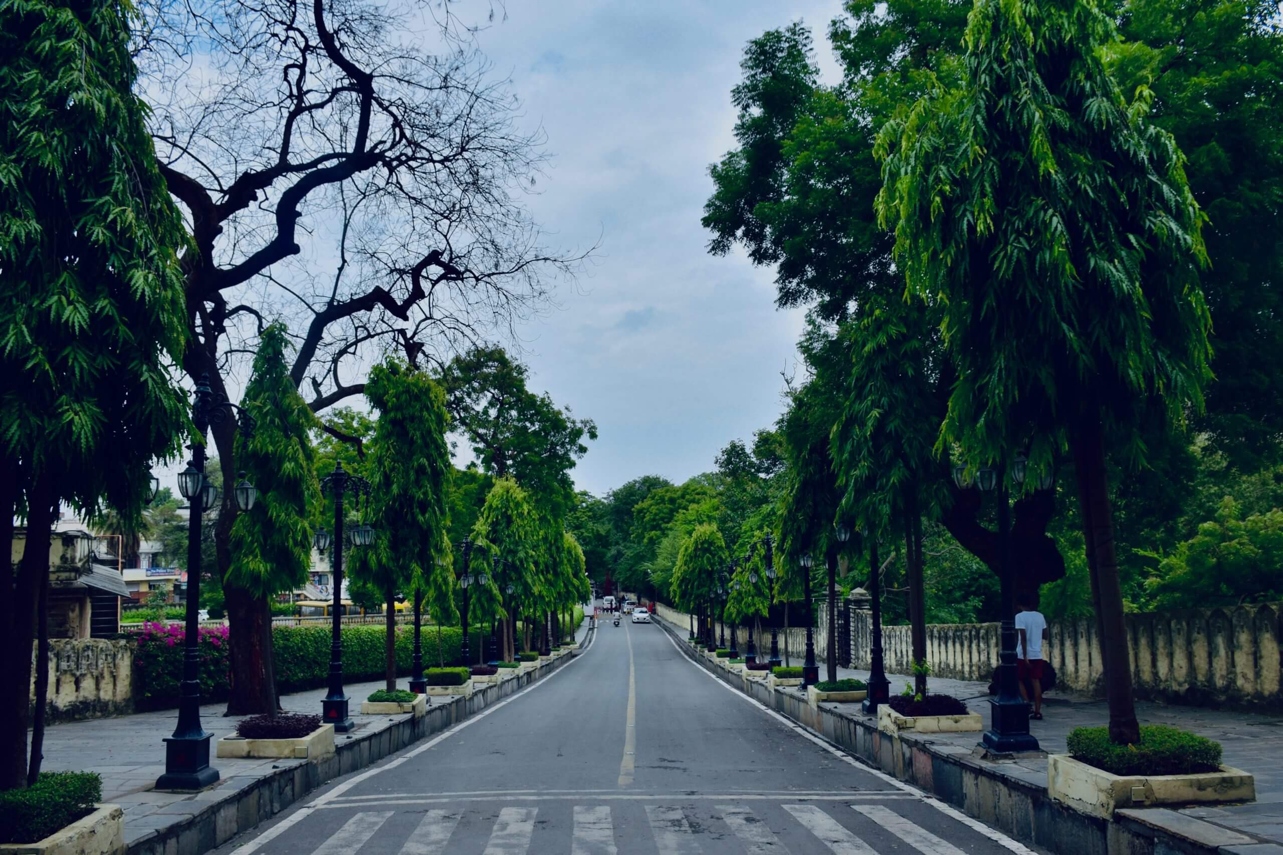 Udaipur To Kota Taxi